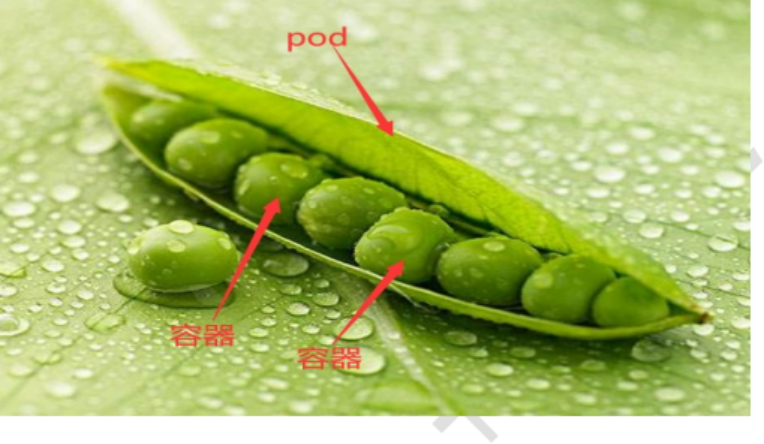image_18.png